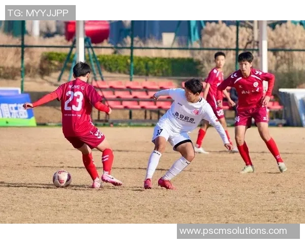 西安飞盘队速度分析与其他队伍的全面对比研究