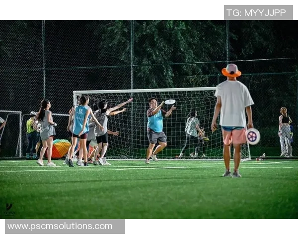 飞盘焦点：深入分析北京飞盘队的心理素质与竞技表现的关系